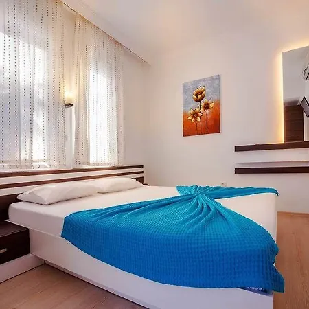 Puya 3*